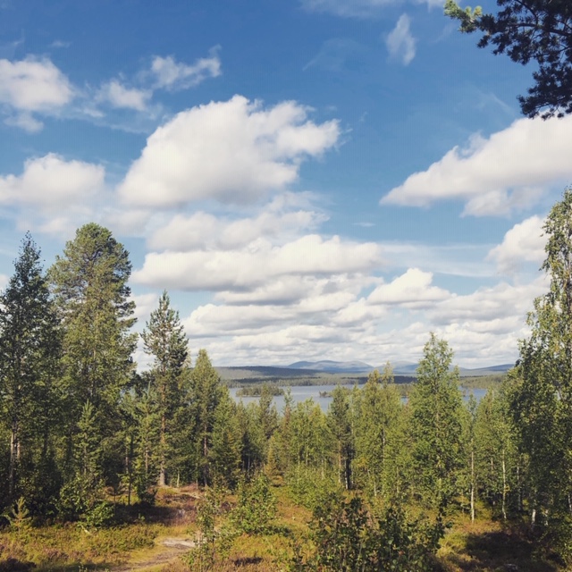 6890D5C2-B10C-4F5A-8A88-F1CA639C10C9