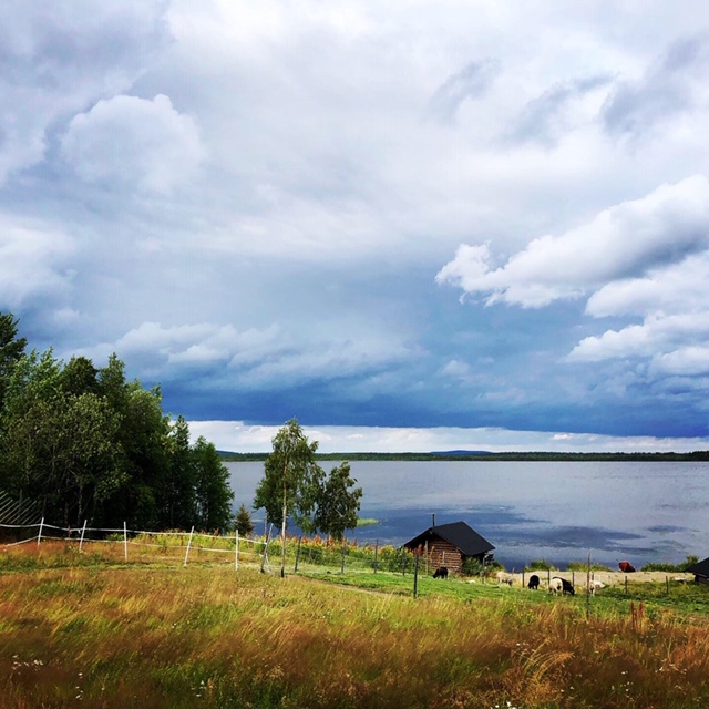 BA862CC6-8D2A-451B-9DB6-DC2AA834AD7F